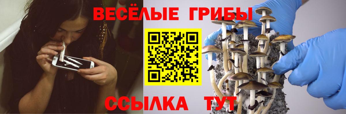 Псилоцибиновые грибы Cubensis  Псилоцибиновые грибы Magic Shrooms  Вход с VPN  Верхняя Салда 